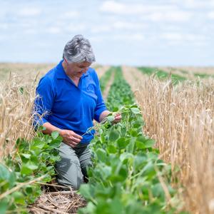 person working in a field