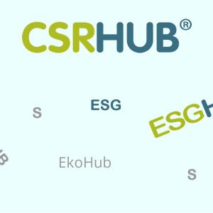 Visual representation of the naming process for CSRHub and ESG Hub