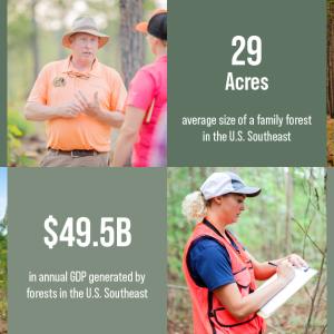 Infographic from Sustainability Report