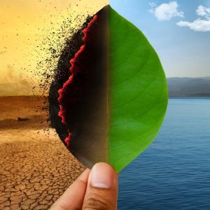 Hand holding leaf - on right side the leaf is green atop clear blue water and on left side leaf is black and burning atop parched dirt to depict climate change.