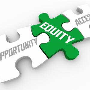puzzle pieces with 'opportunity, equity, access' written