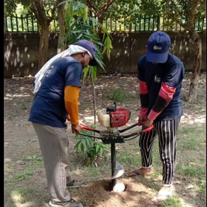 Cadence employees standing planting tree sapling