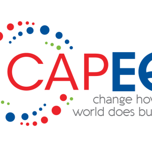 CapEQ logo