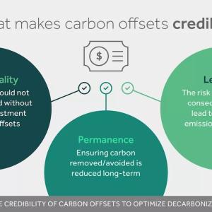 Chart showing what makes carbon offsets credible: Additionality, Permanence and Leakage.