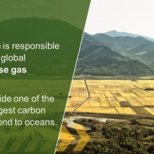 Agriculture is responsible for 25% of global greenhouse gas emissions. Soils provide one of the world's largest carbon sinks, second to oceans.