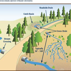 CATCH BASIN AND CROSS-DRAIN ABOVE STREAM CROSSING