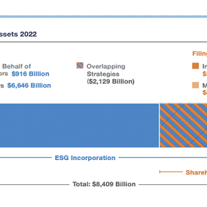 Executive Summary Overview