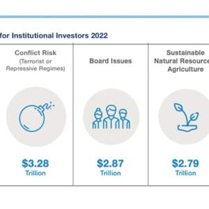 Leading ESG Criteria by Institutional Investors