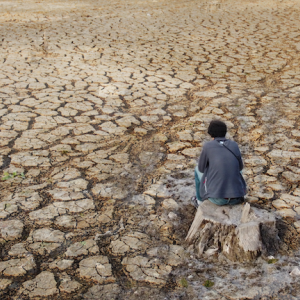 Cracked and dry ground shown with evidence of no rainfall.