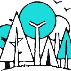 Illustration of a grove of trees.