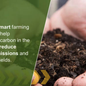 Climate-smart farming practices help sequester carbon in the soil. They reduce carbon emissions and increase yields.