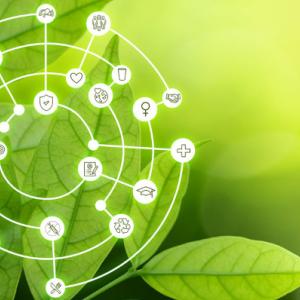 A leaf with a sustainability Illustration 