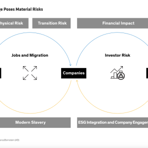 Climate Change Poses Material Risks infographic
