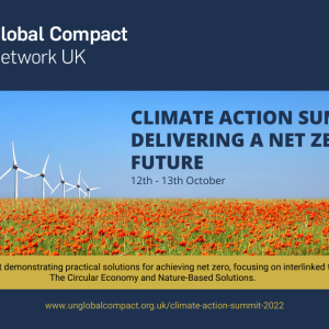 wind turbines. Graphic reads: Climate action summit - delivering a net zero future