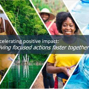 Collage of images with "Accelerating positive impact: driving focused actions faster together" on top.