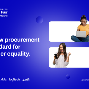 "A new procurement standard for gender equality"