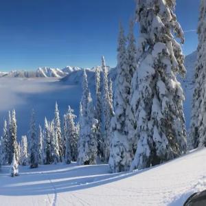 Cole Sibbald sitting on the side of a mountain with freshly fallen snow.