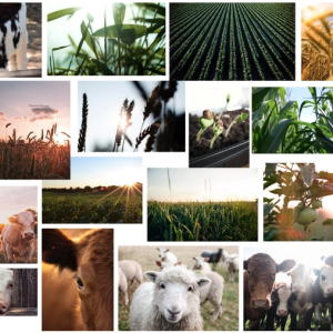 Claire Smith - article image