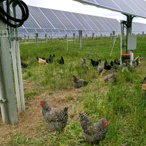 Jack's Solar Garden in Colorado