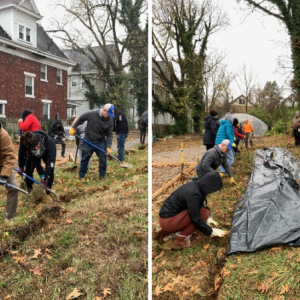 Collage of four photos of groups of people outside in cold weather apparel, digging, planting, and doing other labor.