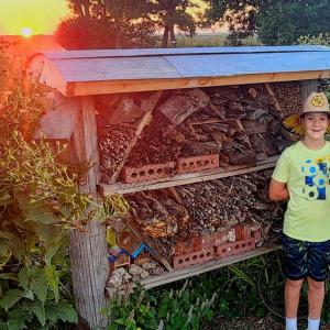 Boy standing next to large insect hotel as the sun sets in the background