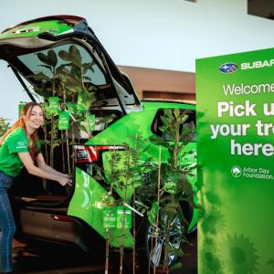 Volunteer placing trees in a Subaru Solterra