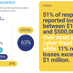 Cyber Fraud Incidence.