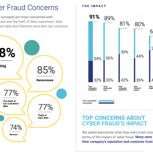 Top Cyber Fraud Concerns.