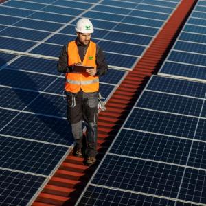 Wesco technician reviewing and inspecting a field of solar cells.