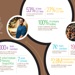 "THE POWER OF DEL AT SOUTHWIRE" infographic