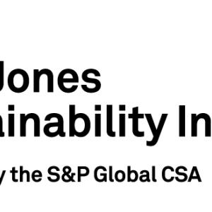 DJSI logo