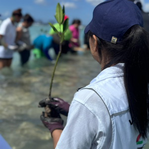 DP World volunteer holds a mangrove seedling during a restoration activity in Boca Chica, Dominican Republic.