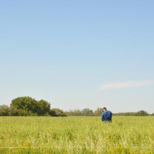 A field on an ALUS participant's farm.