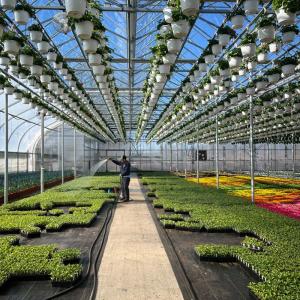 Greenhouse at De Francesco Farm