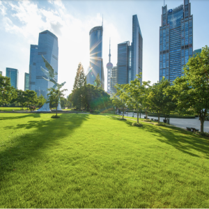 Sunny park surrounded by tall buildings