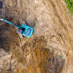forest next to cleared land