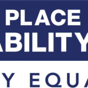 Disability Equality Index Best Place to Work for Disability Inclusion 2021