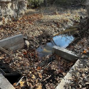 Irrigation ditch on West Clear Creek.