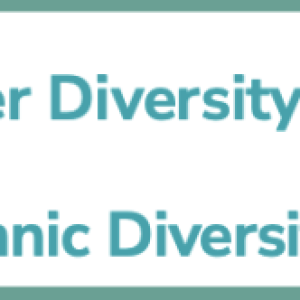 Board’s diversity infographic 