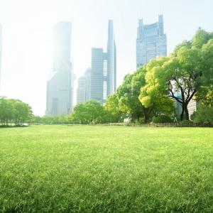 Nature in the City