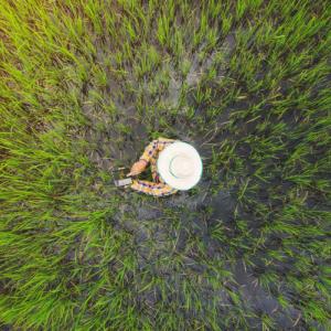 Aerial view of a person in a field piloting a drone.