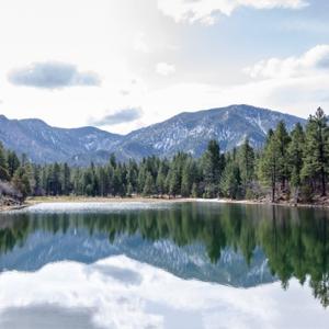 A mountainous landscape with trees and a lake in the foreground
