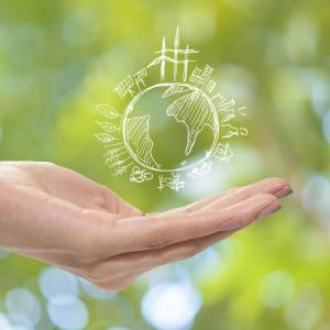 Environmental Consulting Firms