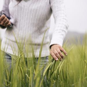Person in a field
