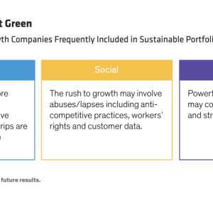 Chart of ESG Risks in Growth Companies