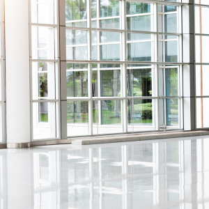 European Hospital Case Study
