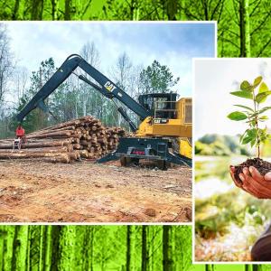 2 collage images in front of green background of hands holding a tree and a trees cut down