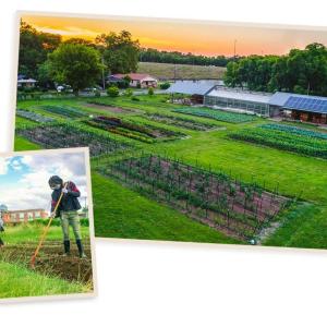 collage of people farming