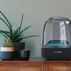 HARMAN speaker shown next to a cactus.