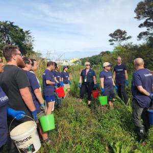 Nielsen volunteers planting trees. 